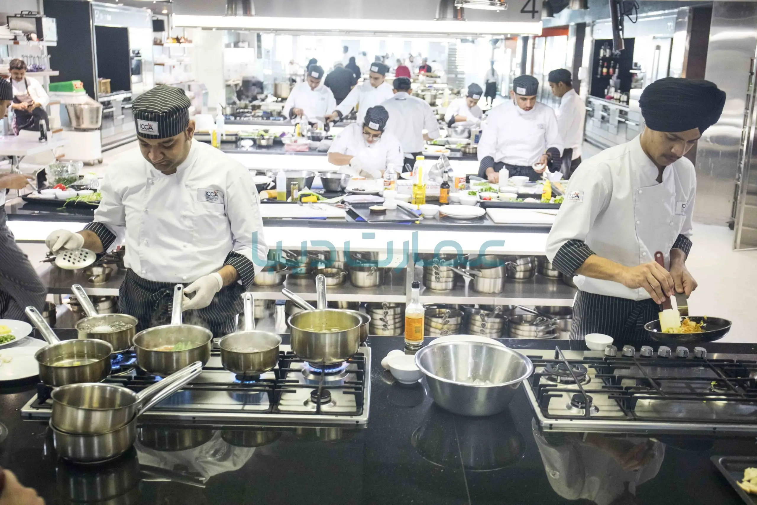 مهاجرت آشپزها به امارات