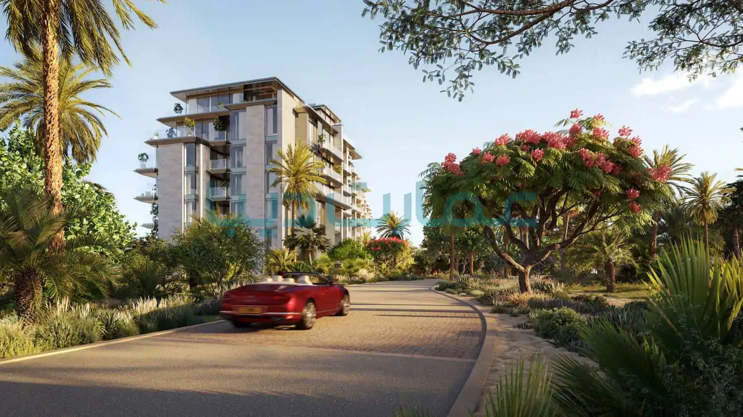 راهنمای خرید ملک در منطقه پالم جمیرا دبی