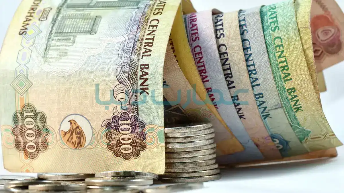 Minimum-income-in Dubai-and-the-Emirates