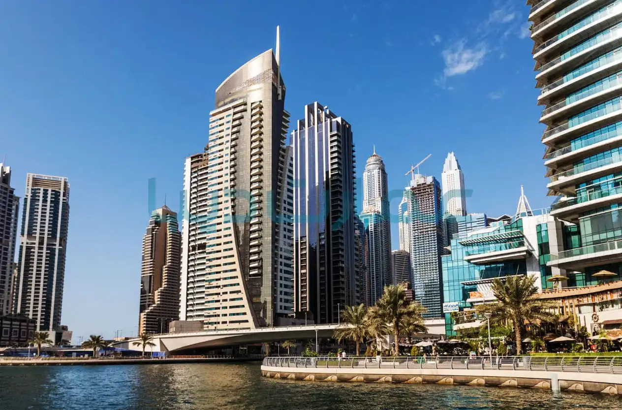 ساختار شرکت ها در امارات